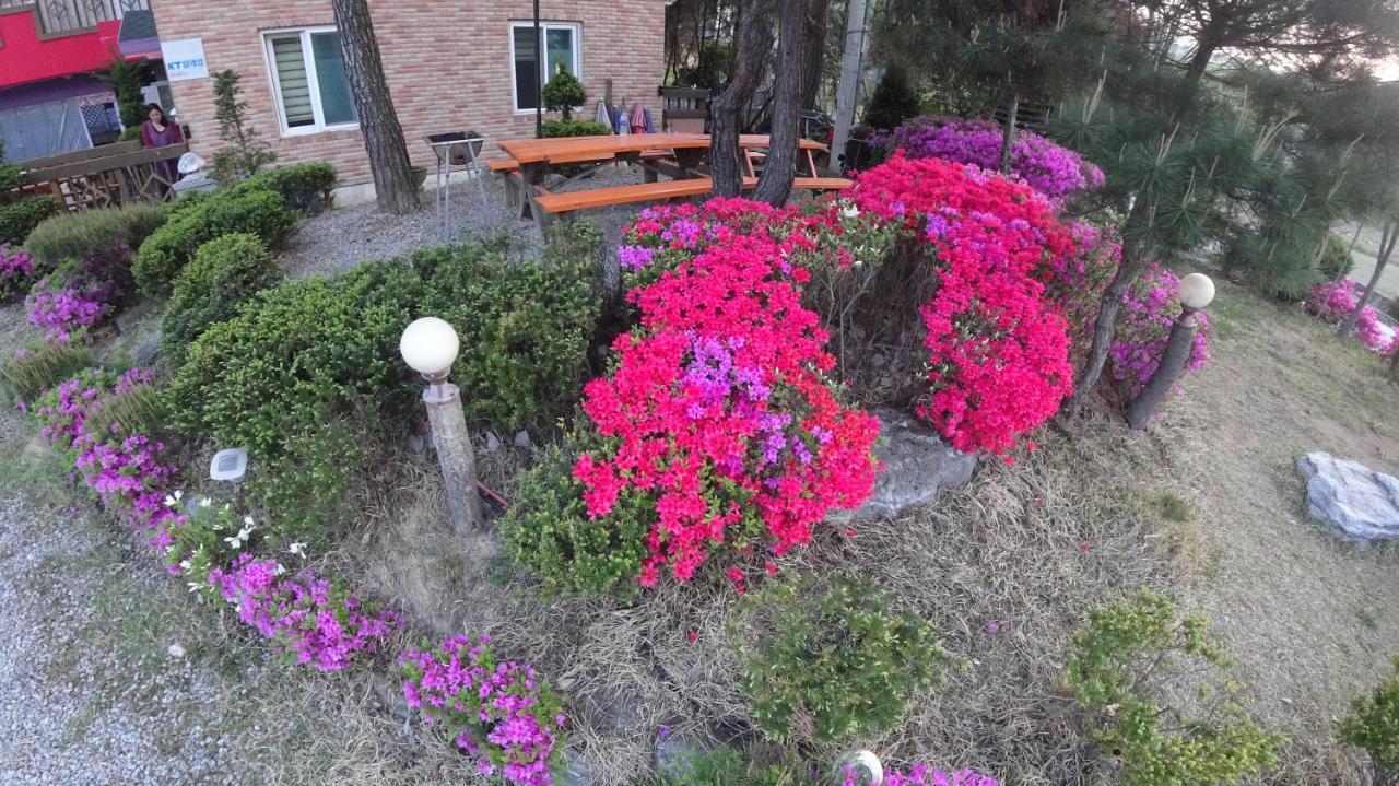 Yeowoogneul Pension チュンチョン エクステリア 写真